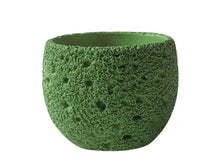 Earthen Orbit Pot/Decorfur