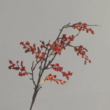 Wattle Seeds/Decorfur