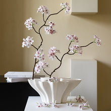 Dimension Bloom Vase/Decorfur