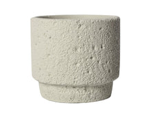 Botanic Frost Holder/Decorfur