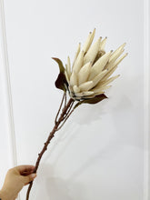 Crown Petal/Decorfur