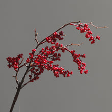 Wattle Seeds/Decorfur