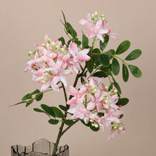 May Flower/Decorfur