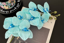 Butterfly Orchid /Decorfur
