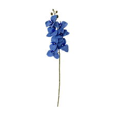 Butterfly Orchid /Decorfur