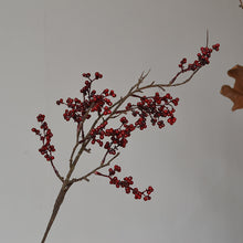 Wattle Seeds/Decorfur