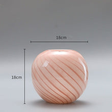 Pink Striped Gourd Hydroponic Glass Vase