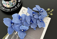 Butterfly Orchid /Decorfur
