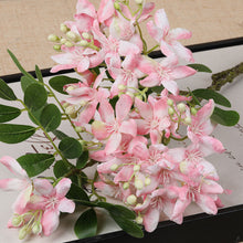 May Flower/Decorfur