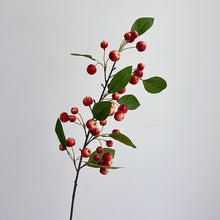 Berry Yuletide/Decorfur