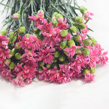 Multi-Headed Carnations Flower Sticks (Bunch)