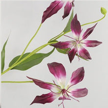 Flame Lily Flower Stick