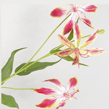 Flame Lily Flower Stick