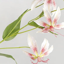 Flame Lily Flower Stick