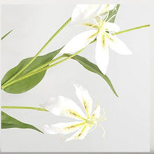 Flame Lily Flower Stick