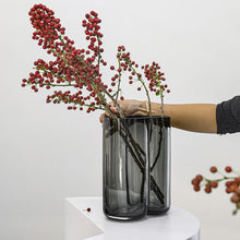 Double Cylindrical Transparent Vase