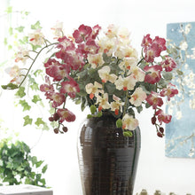Rubber Bandai Orchid Artificial Flower (Single stick)