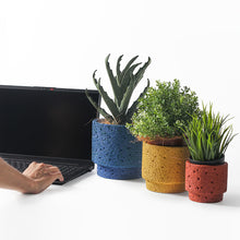 Frosted indoor planter | - Decorfur