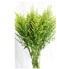 Oriole With Grass Stick Set (Bunch)