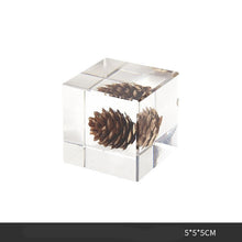Plant Resin Cube Decor