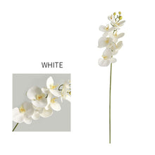 Phalaenopsis Flower Stick (Set of 2)