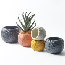 Spherical Ceramic Flowerpot