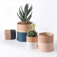 Wooden finish bonsai planter | - Decorfur