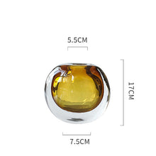 Double Tinted Glass Vases