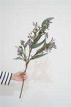 Eucalyptus fruit Stick (Single Stick)
