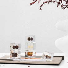 Plant Resin Cube Decor