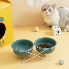 Double Food Bowl With Stand