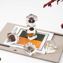 Plant Resin Cube Decor