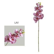 Phalaenopsis Flower Stick (Set of 2)