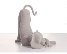 Lion Decor