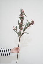 Eucalyptus fruit Stick (Single Stick)
