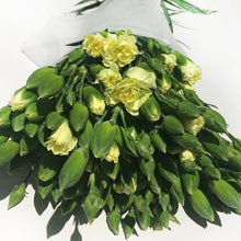 Multi-Headed Carnations Flower Sticks (Bunch)