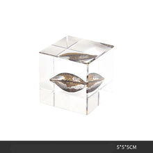 Plant Resin Cube Decor