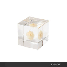 Plant Resin Cube Decor