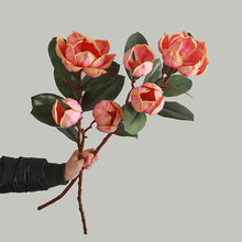 Colorful Magnolia Flower Stick