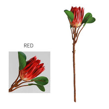 Emperor Flower Stick (Set of 2)