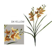 Two headed Orchid Flower Single Stick