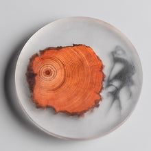 Wooden and Black Resin Coasters