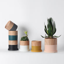 Wooden finish bonsai planter | - Decorfur