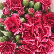 Multi-Headed Carnations Flower Sticks (Bunch)