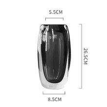 Double Tinted Glass Vases