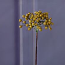 Yellow Berry Flower (Single Stick)
