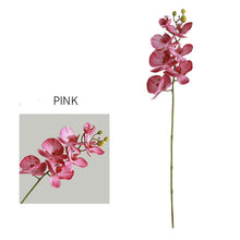 Phalaenopsis Flower Stick (Set of 2)