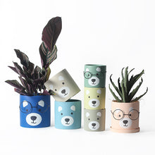 Cute abstract bear planter