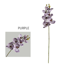 Phalaenopsis Flower Stick (Set of 2)