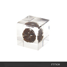 Plant Resin Cube Decor